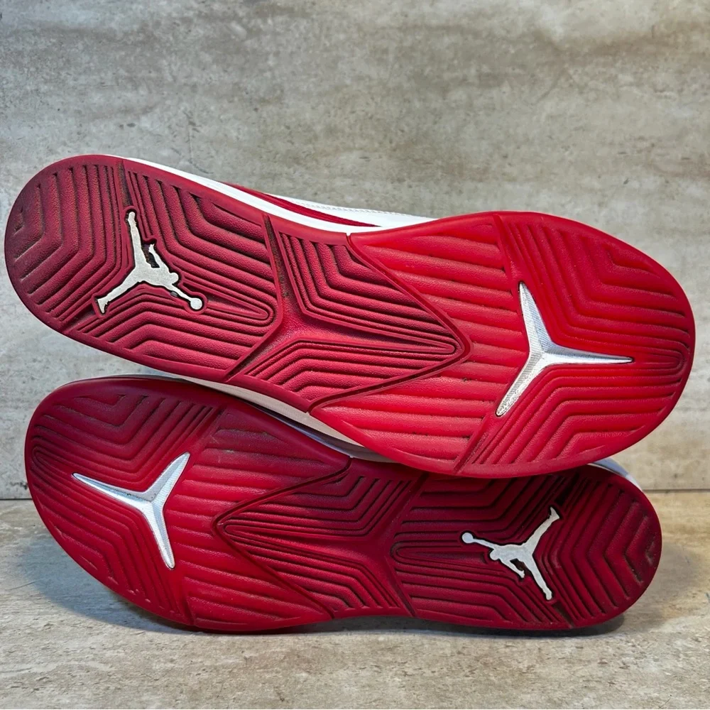 Jordan flight luminary